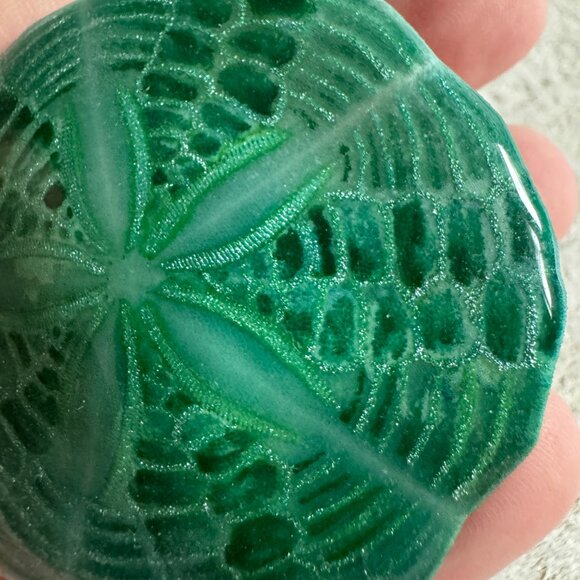 Resin Coated Sand Dollar Pin Brooch - Picture 5 of 8